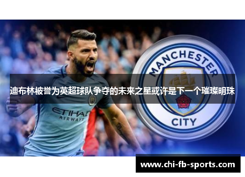 迪布林被誉为英超球队争夺的未来之星或许是下一个璀璨明珠