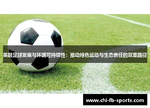 英超足球发展与环境可持续性：推动绿色运动与生态责任的双重路径