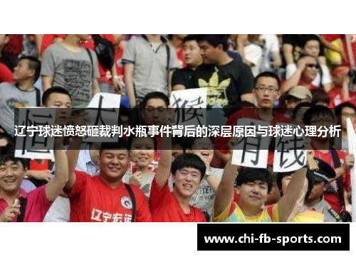 辽宁球迷愤怒砸裁判水瓶事件背后的深层原因与球迷心理分析