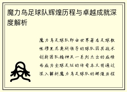魔力鸟足球队辉煌历程与卓越成就深度解析