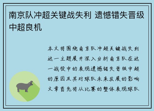 南京队冲超关键战失利 遗憾错失晋级中超良机